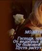 Православная материнская молитва о своих детях